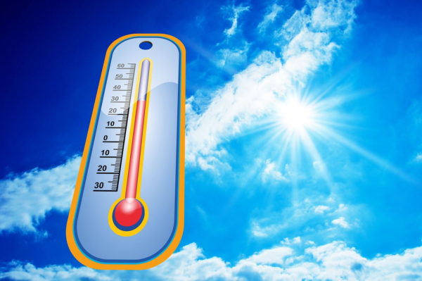 hohe Temperaturen im Sommer
